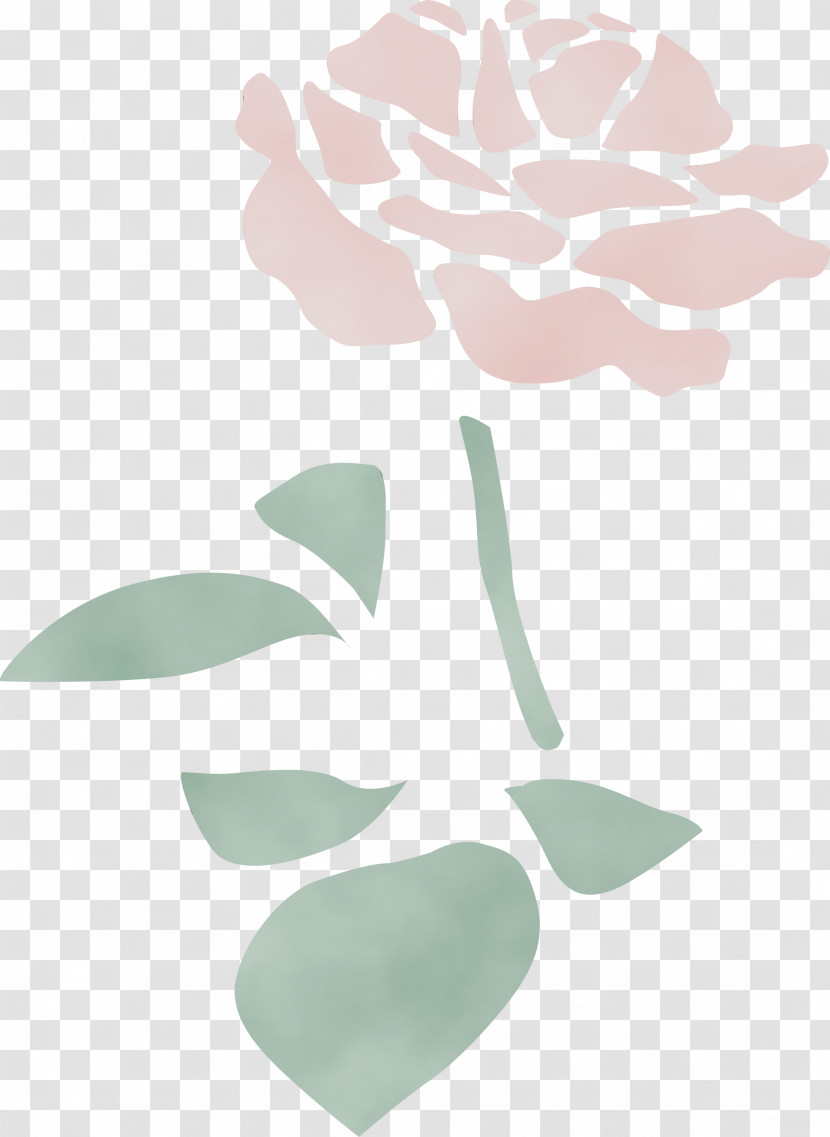 Leaf Petal Plant Beige Flower Transparent PNG