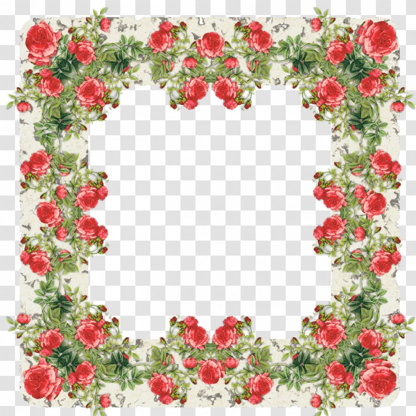 Picture Frames Rose Stock Photography - Flowering Plant - Frame Transparent PNG