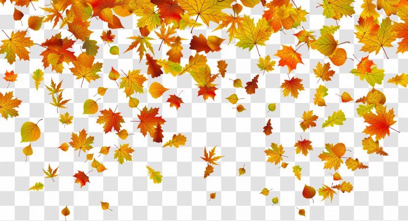 Autumn Leaf Color Clip Art - Orange - Withered Leaves Transparent PNG