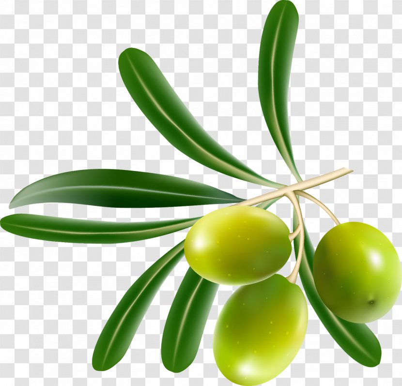 Tapenade Olive Leaf Food - Plant Stem Transparent PNG