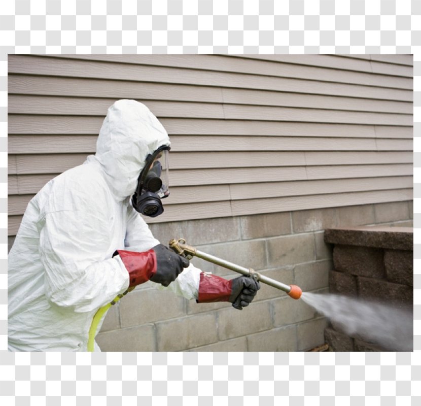 Pest Control Termite Wallsend Exterminator - Wasp - New South Wales Transparent PNG