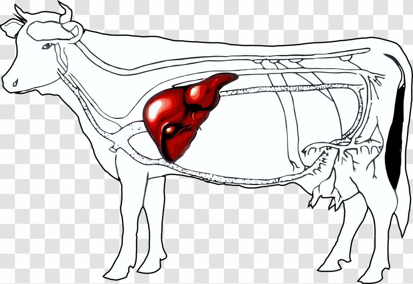 Cattle Liver And Onions Horse Livestock - Cartoon Transparent PNG