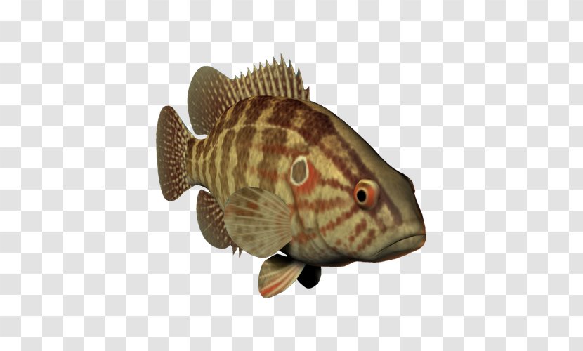 Fish Three-dimensional Space Ocean - Data Compression - Water Grouper Transparent PNG