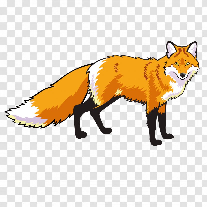 Red Fox Drawing Clip Art - Line Transparent PNG