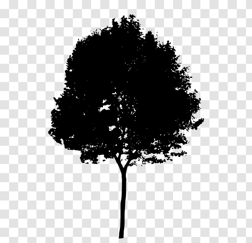 Silhouette Tree Clip Art - Branch - Of Transparent PNG