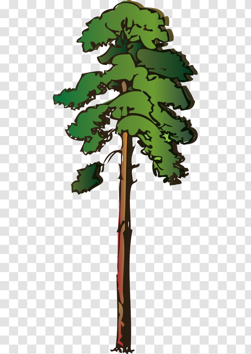 Tree Redwoods Giant Sequoia Clip Art - Conifer - Free Redwood Cliparts Transparent PNG