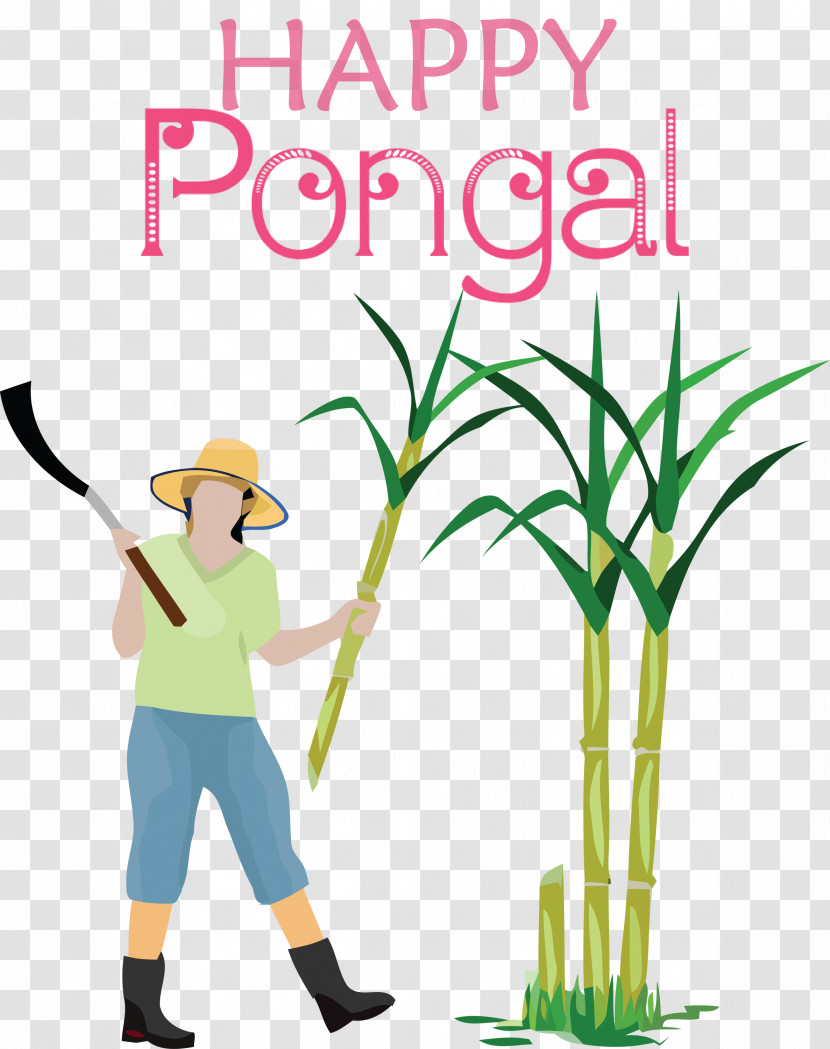 Pongal Happy Pongal Transparent PNG