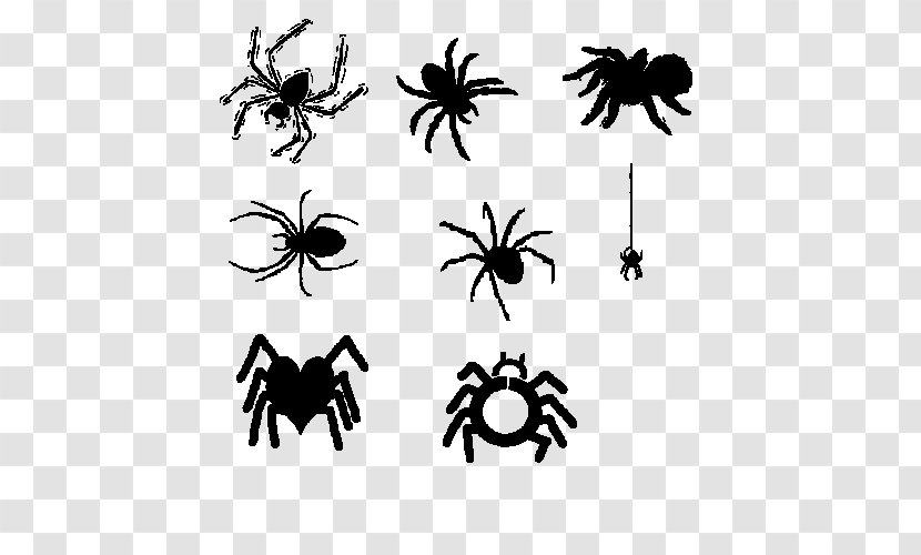 Spider Cartoon Black And White - Pollinator Transparent PNG
