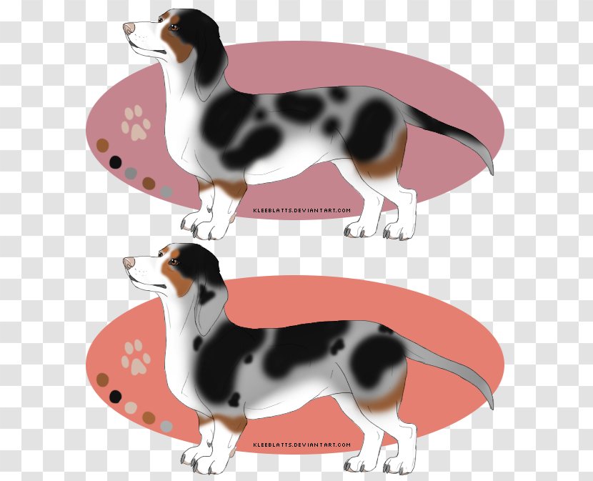 Dog Breed Beagle Companion Tail - Dachshunds Transparent PNG