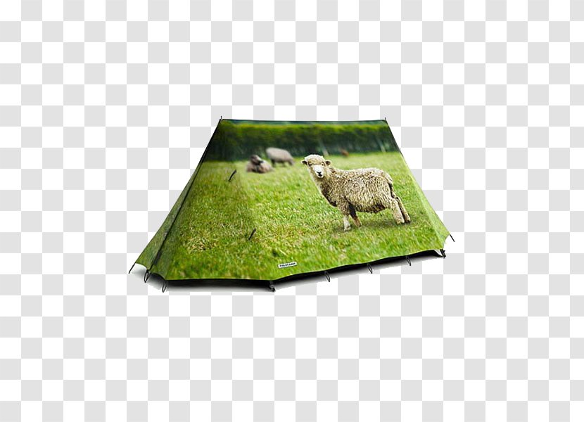 Tent Camping Campsite Glamping Hydrostatic Head - Grass Tents Transparent PNG