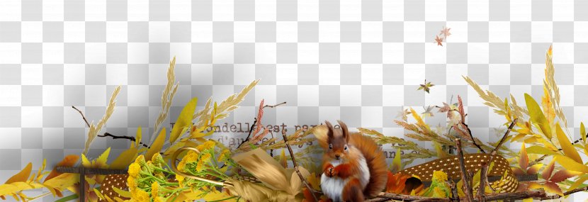 Squirrel Illustration - Manufacturing Execution System - Decorative Flowers Transparent PNG