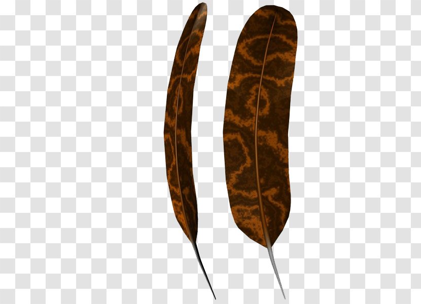 Leaf - Feather - Brown Feathers Transparent PNG