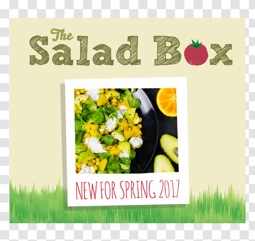 Panini Salad Cafe Delicatessen Leeds Beckett University - Text - Delicious Food Full Of Flavor Transparent PNG