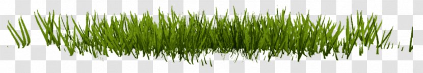 Lawn Desktop Wallpaper Clip Art - Rendering - Image Resolution Transparent PNG
