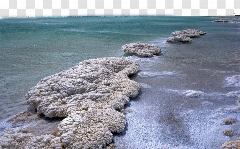 Dead Sea Dove Nest Park Beidaihe District Tourist Attraction - Salinity - Salt And Four Transparent PNG