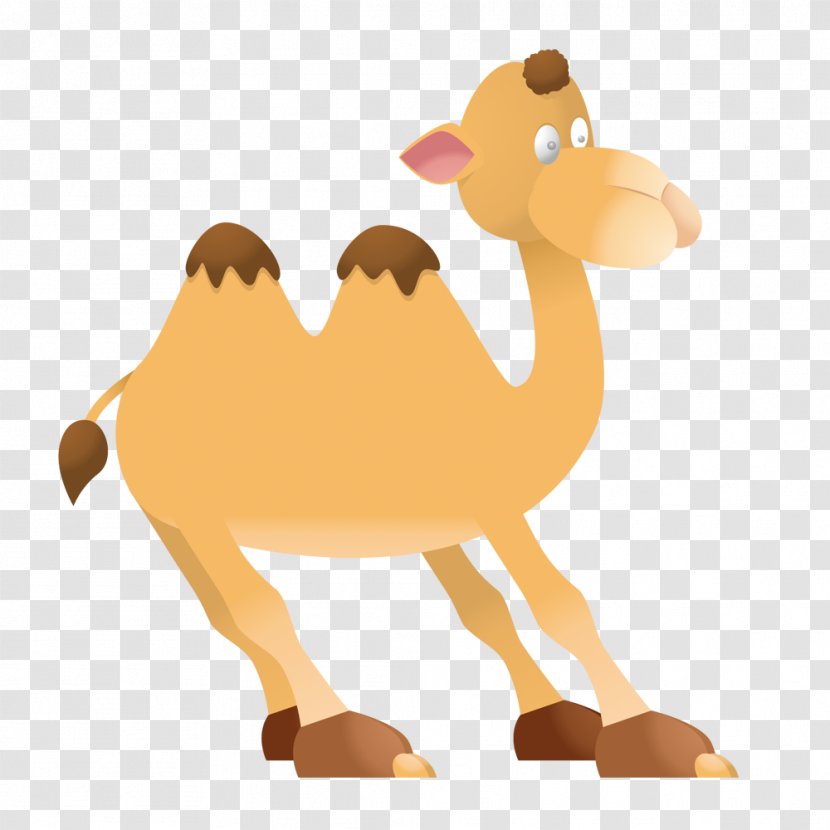Dromedary Llama Bactrian Camel Animal Silhouettes Clip Art - Livestock - Cartoon Transparent PNG