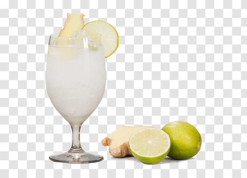 Lemon Juice Limeade Cocktail Lemonade - Pisco Sour - Gin And Tonic Transparent PNG