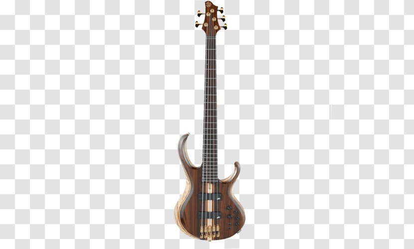 Ibanez Bass Guitar Double String Instruments - Cartoon Transparent PNG