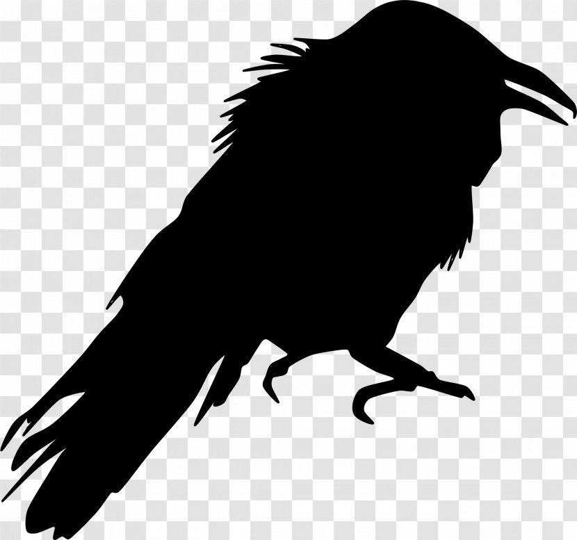 Crow Silhouette Bird Clip Art - Raven Transparent PNG