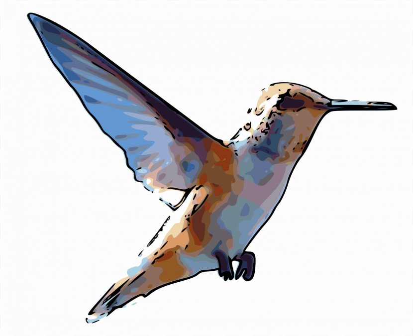 Rufous Hummingbird Clip Art - Blanket - Rambo Transparent PNG