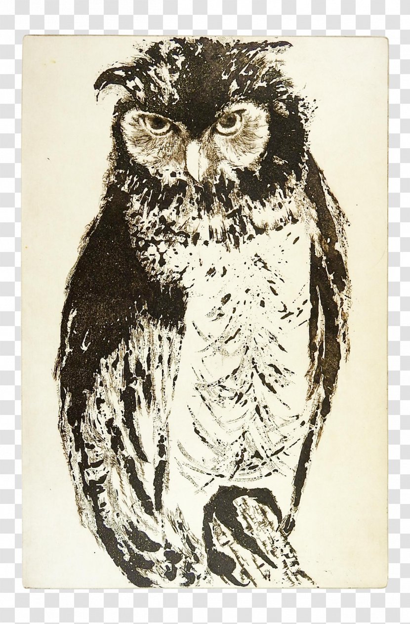 Owl Cartoon - Screech Great Horned Transparent PNG