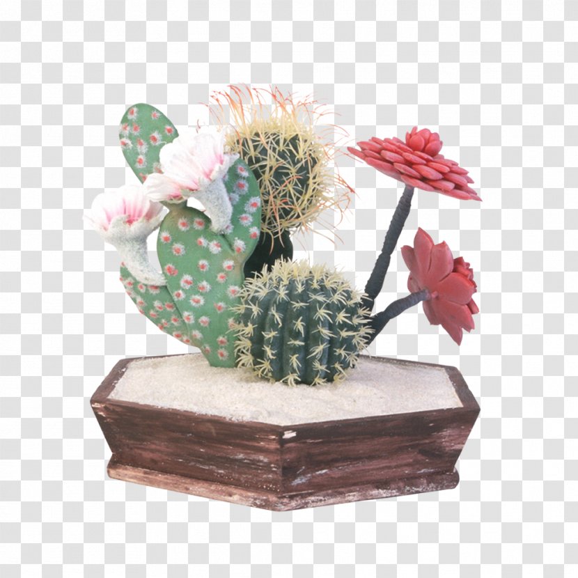 Cactaceae Flowerpot Prickly Pear Euclidean Vector - Cactus - Potted Transparent PNG