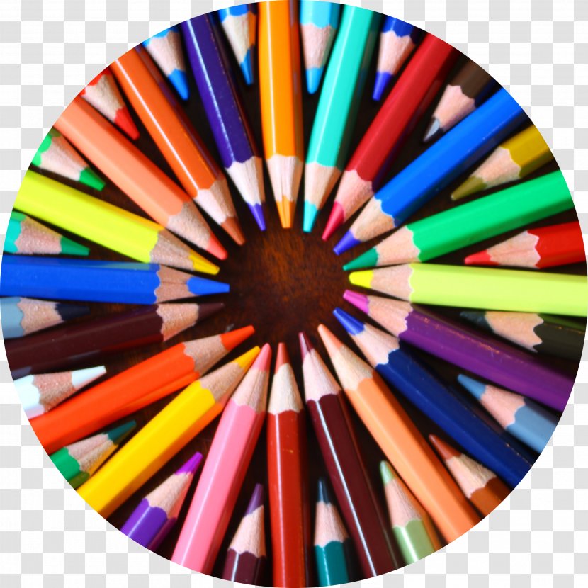 Colored Pencil Art Contrast - Oil Paint - Pencils Transparent PNG