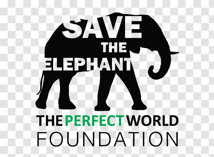 African Elephant Indian Logo Brand - Black Transparent PNG