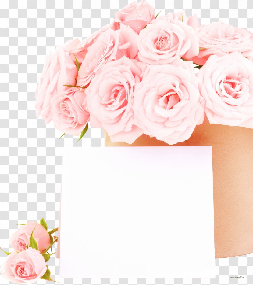Stock Photography Flower Rose Wedding - Order - White Roses Transparent PNG