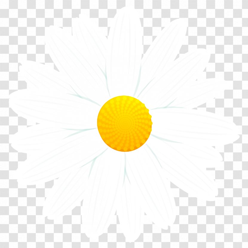 Yellow Sky Logo Circle Smile Transparent PNG