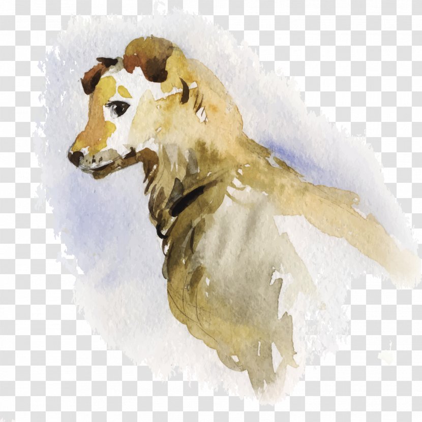 Dog Watercolor Painting Portrait Illustration - Wildlife - Floating Small Transparent PNG