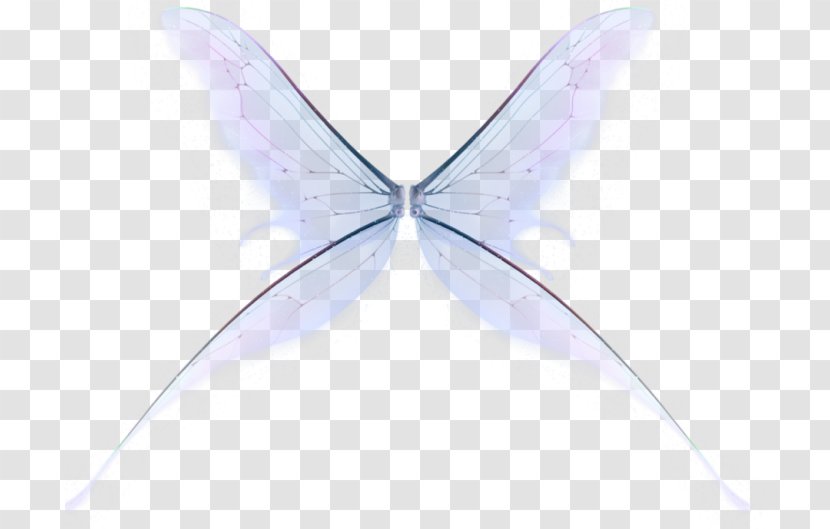 Fairy Drawing Art Magic - Insect Transparent PNG