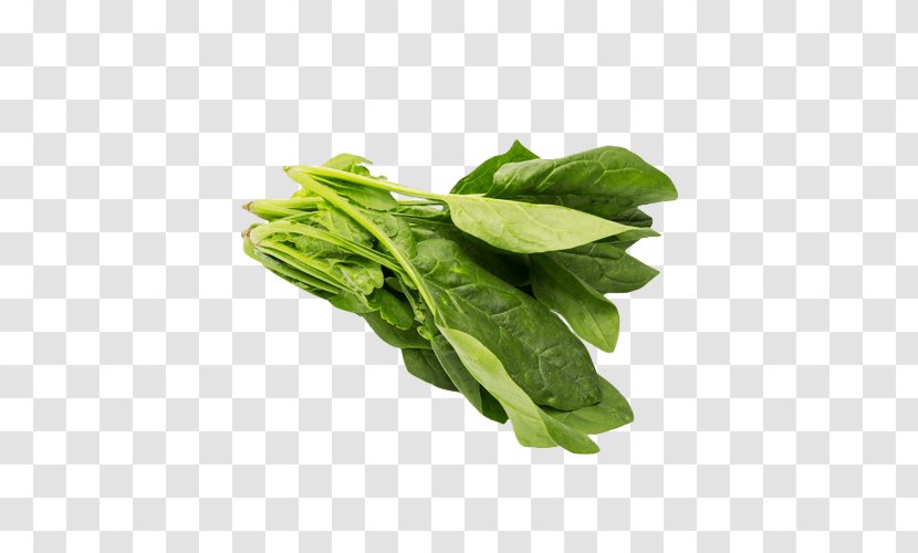 Romaine Lettuce Spinach Chard Falafel Tortelloni - Salad Transparent PNG