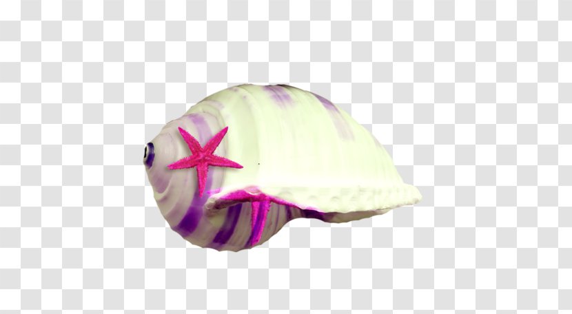 Conch White Pink - Sea Snail - Starfish Transparent PNG