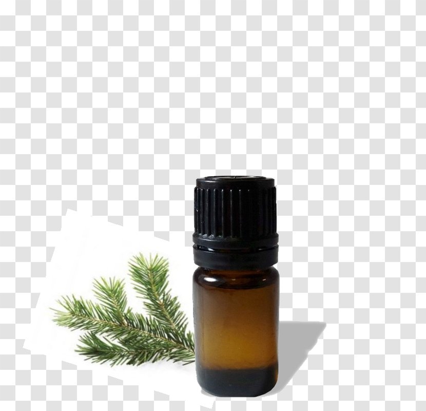 Glass Bottle Liquid Earth Essential Oil Transparent PNG