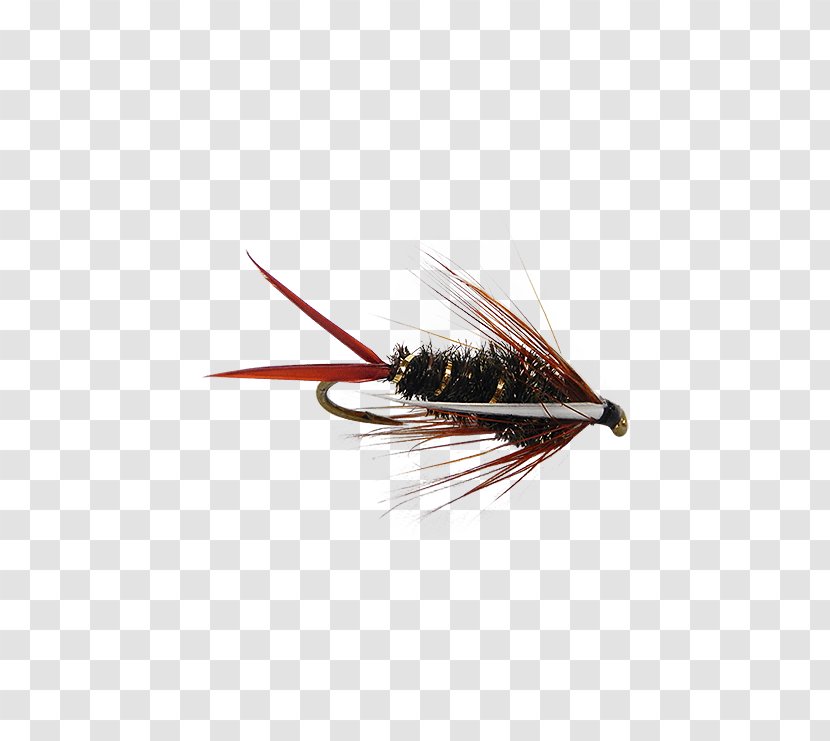 Emergers Artificial Fly Nymph Insect Fishing - Chart - Flies Transparent PNG