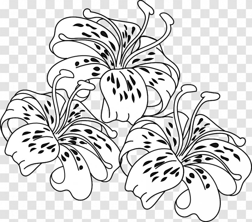 Tiger Lily Easter Coloring Book Flower - Plant Stem - Cliparts Transparent PNG