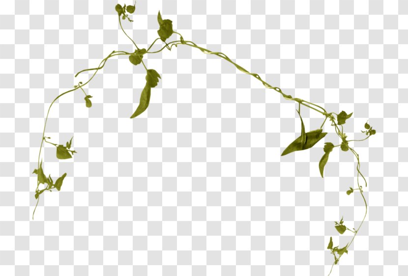 Flowering Plant Floral Design Twig - Branch - Flower Transparent PNG