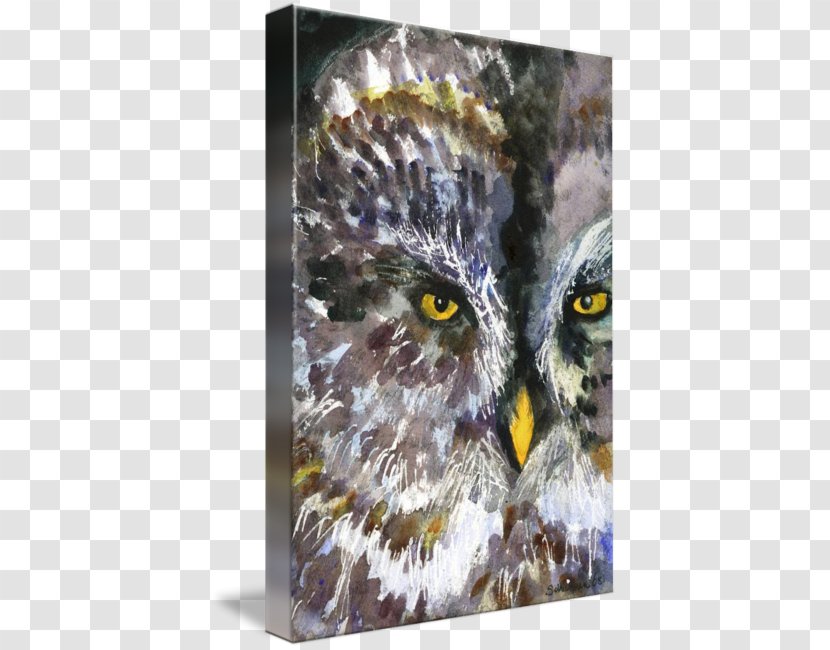 Owl Watercolor Painting Art Drawing - Bird Of Prey - Animals Transparent PNG
