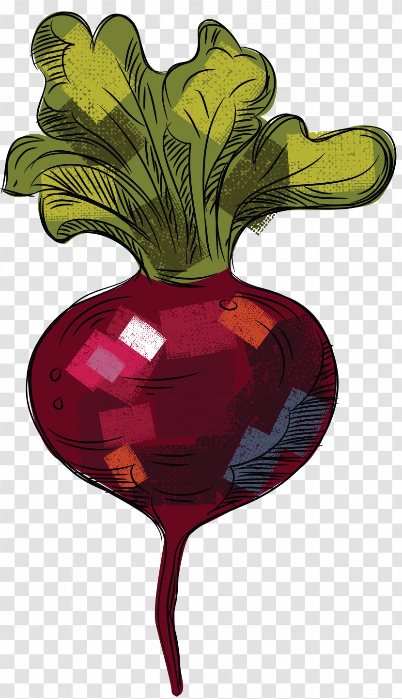 Tomato Download - Drawing - Beet Transparent PNG