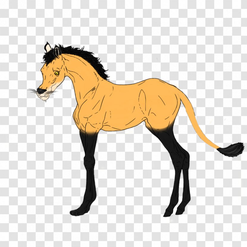 Mustang Foal Stallion Mare Rein - Mammal Transparent PNG