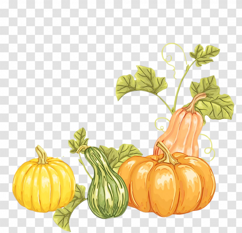 Gourd Winter Squash Patty Pan Cucurbits Vegetable Transparent PNG