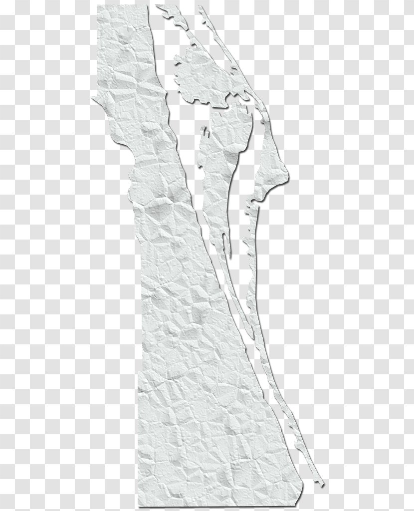 White Drawing /m/02csf Sleeve - Tree Transparent PNG