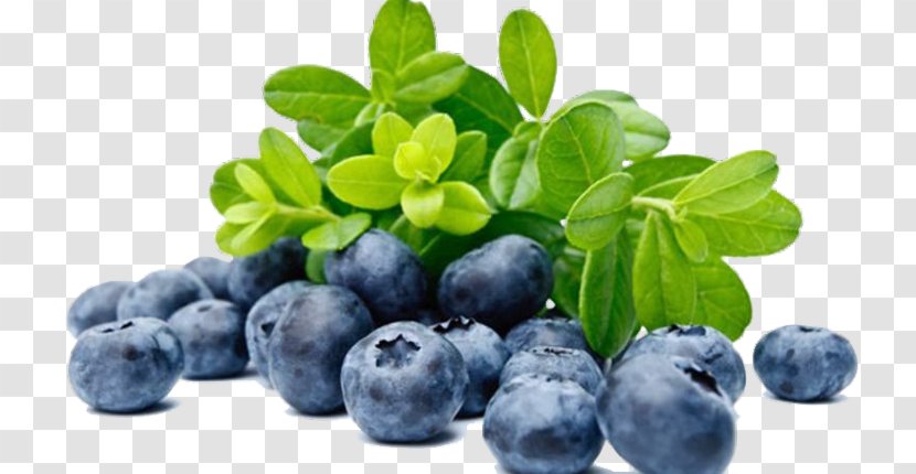 European Blueberry Bilberry Nutrient Fruit - Diabetes Mellitus Transparent PNG