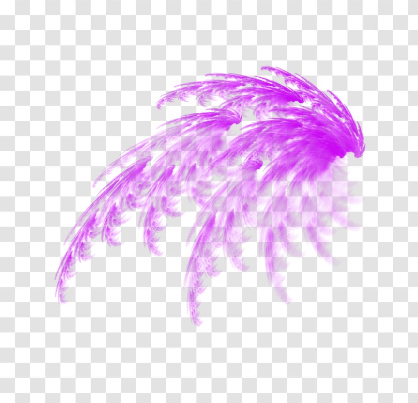 Transparency And Translucency Editing - Close Up - Purple Feather Transparent PNG