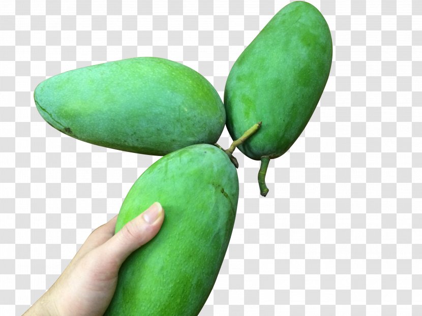 Mango Download Designer Cyan - Papaya - Green Transparent PNG