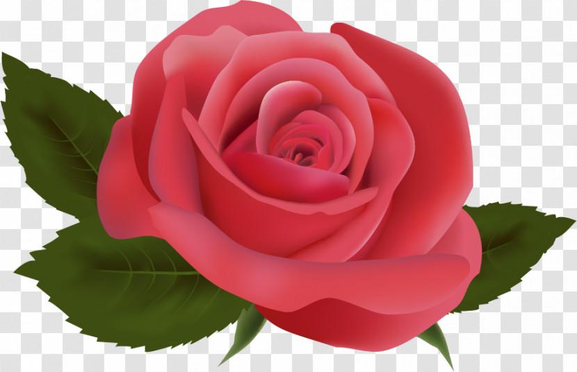 One Flower One Rose Valentines Day Transparent PNG