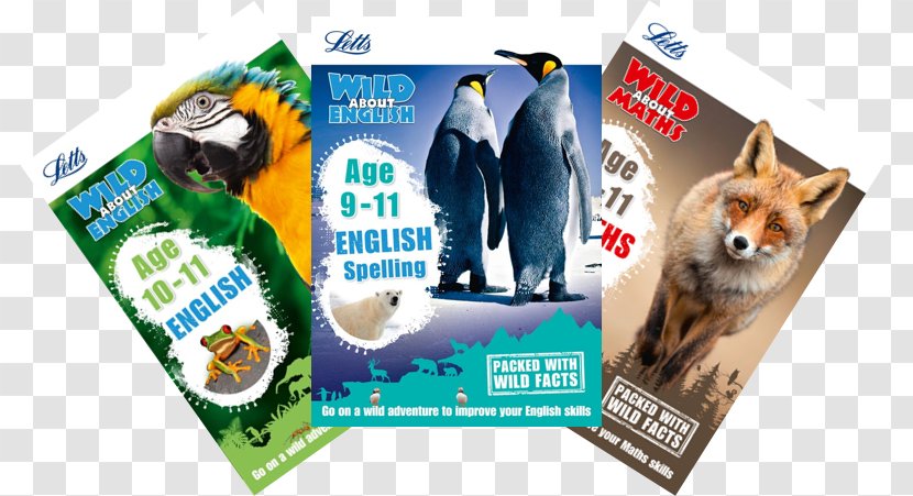 Letts Wild About Learning - Brand - Spelling Age 9-11 Advertising 11 September Attacks BrandMath Book Transparent PNG