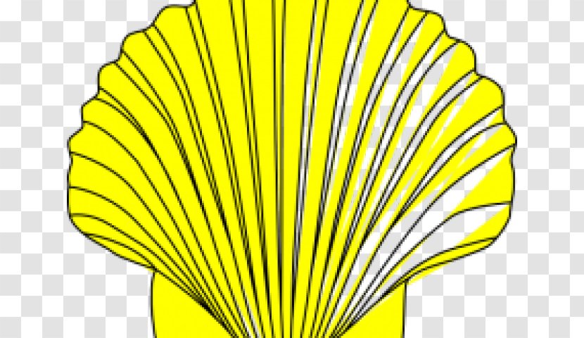Clip Art Seashell Vector Graphics Transparency - Yellow - Shell Flowers Sea Transparent PNG