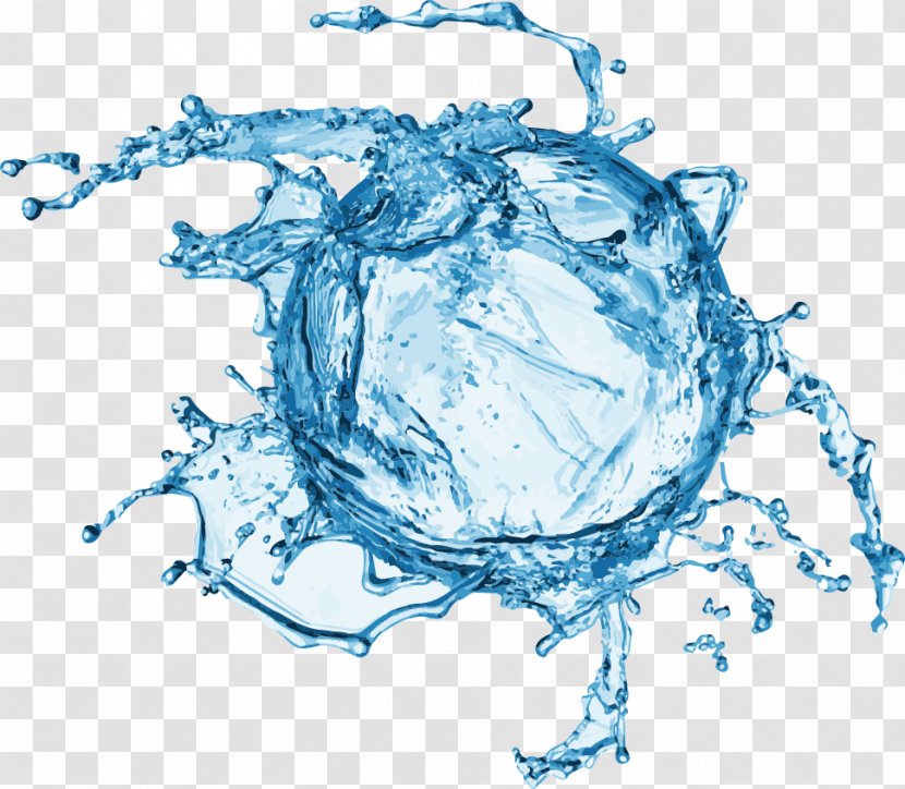 Water Drop Euclidean Vector - Splash - Polo Transparent PNG